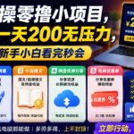5个实操零撸小项目，认真做一天200无压力，操作简单，新手小白看完秒会【揭秘】