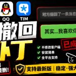 Windows下PC版微信/QQ/TIM的防撤回多开工具！开源免费使用，且免费长期维护RevokeMsgPatcher