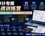 财会审计专属AI实战训练营｜AI协同编程+Python审计工具箱+Excel VBA加载项落地