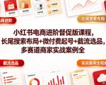 小红书电商进阶督促版课程，长尾搜索布局+微付费起号+截流选品，多赛道商家实战案例全程拆解