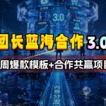 团长蓝海合作3.0，每周爆款模板+合作共赢项目