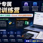 财会审计专属AI实战训练营｜AI协同编程+Python审计工具箱+Excel VBA加载项落地（更新0710）