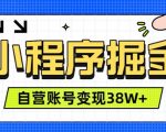 微信小程序掘金，团队自营小程序累计变现38W+，稳定运营三年，一部手机即可操作【揭秘】