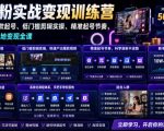 苗子起号涨粉实战变现训练营，多类目零基础爆款起号、精准起号节奏、新手稳涨粉可落地变现全课（更新0719）