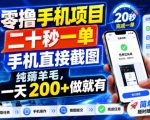 零撸手机项目，二十秒一单，手机直接截图，纯薅羊毛，一天200+做就有【揭秘】