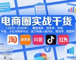 电商圈实战干货（2023-2026年），覆盖淘系、拼多多、抖音、小红书等多平台，助力电商人避开坑、提效率、稳盈利（更新08月16日）