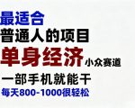 身经济小众赛道，一部手机就能干，每天搞个800-1000很轻松，最适合普通人的项目【揭秘】