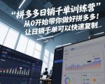 拼多多日销千单训练营，从0开始带你做好拼多多，让日销千单可以快速复制(更新26年9月)