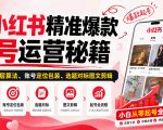 小红书精准爆款起号运营秘籍，从平台底层算法、账号定位包装、选题对标图文剪辑，小白从零起号全流程