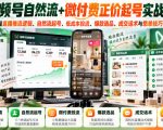 视频号自然流+微付费正价起号实战课：系统掌握直播推流逻辑、自然流起号、低成本投流、爆款选品、成交话术与憋单技巧全流程