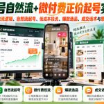 视频号自然流+微付费正价起号实战课：系统掌握直播推流逻辑、自然流起号、低成本投流、爆款选品、成交话术与憋单技巧全流程