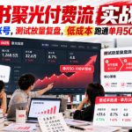 小红书聚光付费流实战复盘｜小团队蓝V账号，测试放量复盘，低成本跑通单月50‑100W营收【文档】