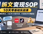AI拆文变现SOP｜10天零基础实战课，AI拆解爆款网文，小红书+抖音引流，打造知识付费副业