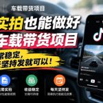 无需实拍也能做好抖音车载带货项目，收益非常稳定，每天坚持发就可以！