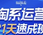 淘系运营21天速成班，0基础轻松搞定淘系运营，不做假把式，快速复制落地(更新26年10月)